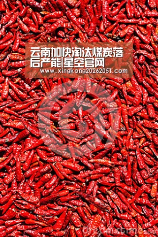 星空百家乐