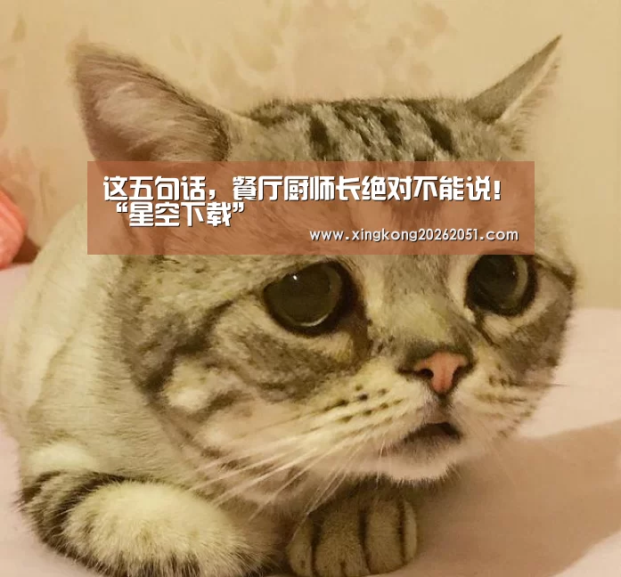 星空体育