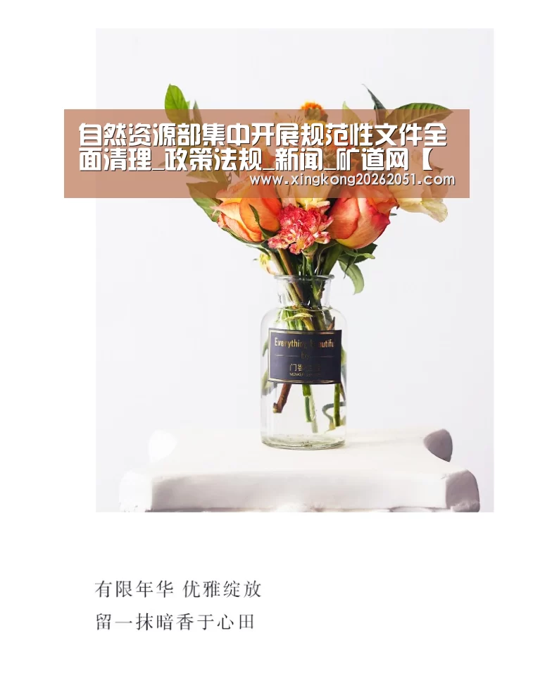 自然资源部集中开展规范性文件全面清理_政策法规_新闻_矿道网【星空体育】(图3) 星空百家乐