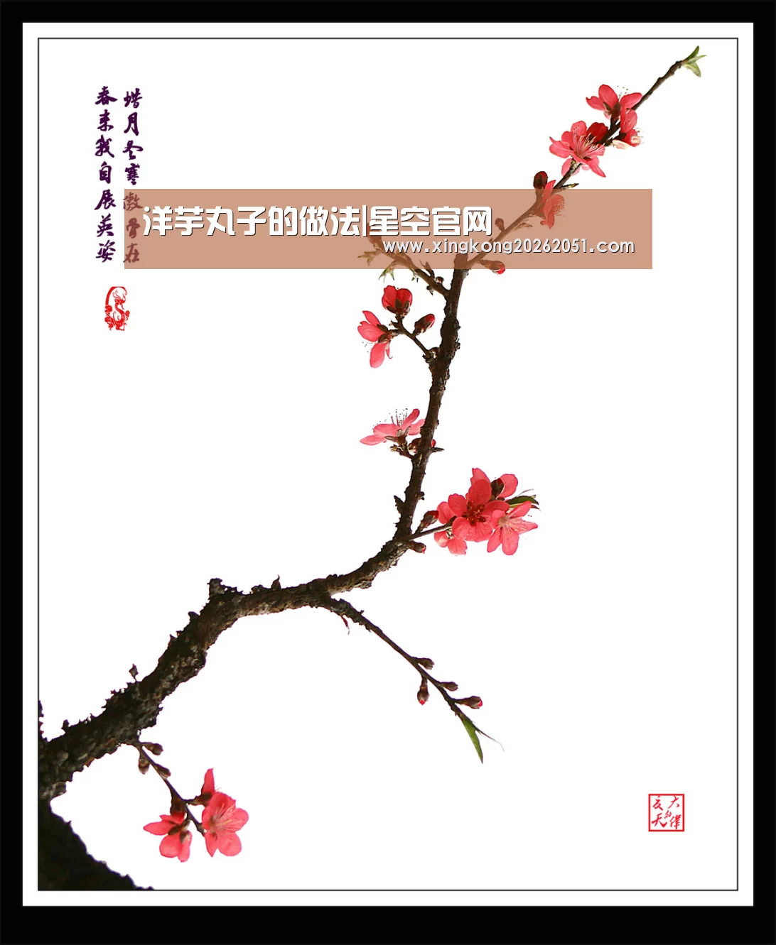 洋芋丸子的做法|星空官网(图2) 星空下载