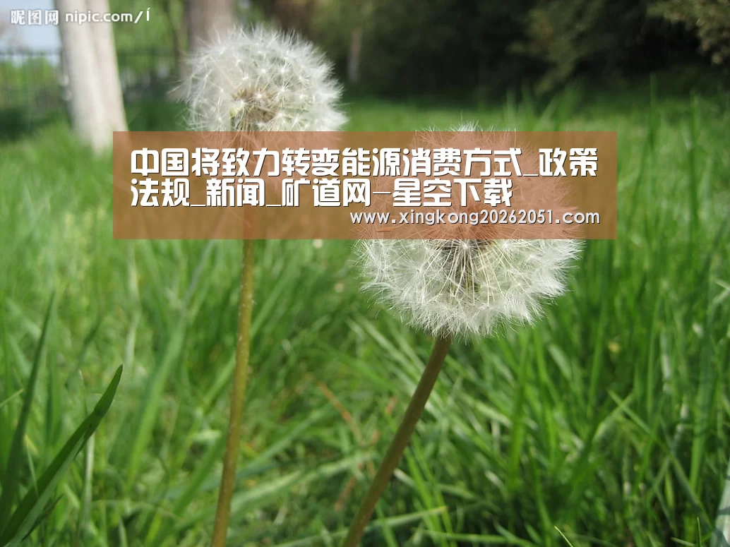星空官网