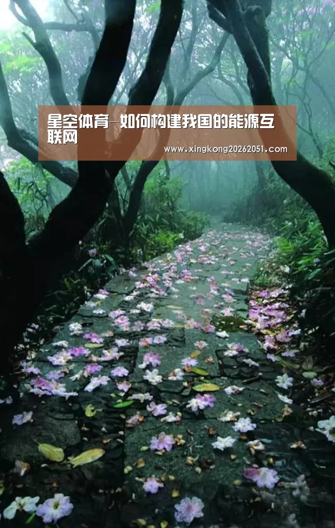 星空体育-如何构建我国的能源互联网(图1) 星空下载