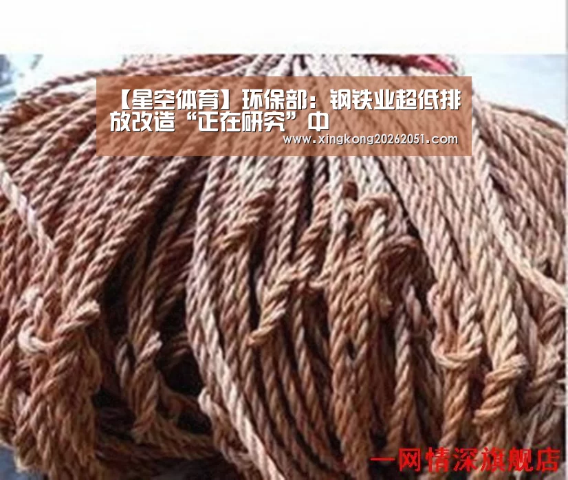 【星空体育】环保部:钢铁业超低排放改造“正在研究”中(图1) 星空百家乐