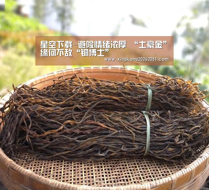 星空下载-避险情绪浓厚 “土豪金”缘何不敌“铜博士”(图2) 星空下载