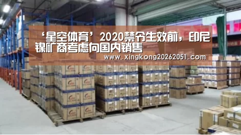 ‘星空体育’2020禁令生效前,印尼镍矿商考虑向国内销售(图4) 星空官网